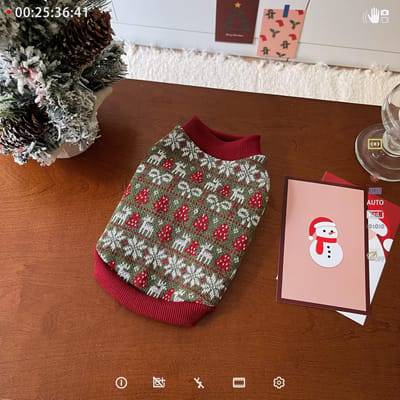 Pull de Noël pour chien Pull tricoté Pull pour chat Pull pour chien Col roulé pour animal de compagnie Ours en peluche Vêtements pour petit chien Vêtements pour chiot XXS