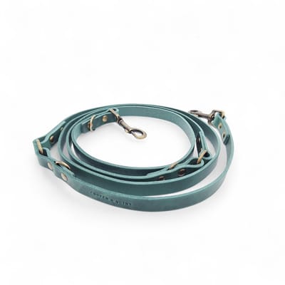 Cooper & Quint Switch Verstelbare Leren Hondenriem - Groen - 1.5 cm - Oud Messing