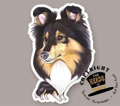 Magneet Hond Shetland Sheepdog, tricolor