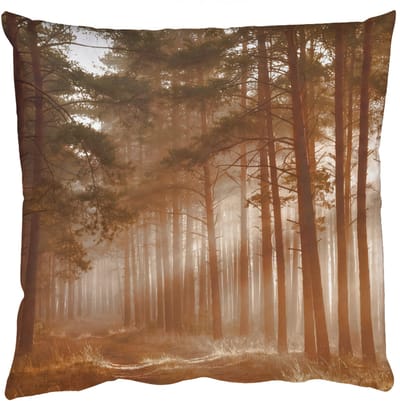 Sierkussens - Kussentjes Woonkamer - 50x50 cm - Bos - Mist - Zonlicht