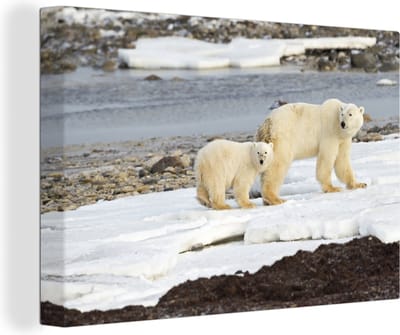Canvas Schilderij IJsbeer - Baby - Welp - 90x60 cm - Wanddecoratie