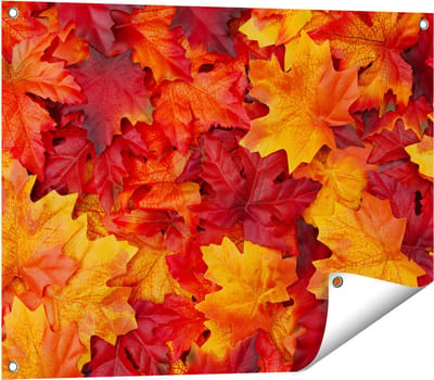 Gards Tuinposter Herfstbladeren in het Oranje en Rood - 80x60 cm - Tuindoek - Tuindecoratie - Wanddecoratie buiten - Tuinschilderij