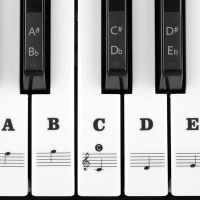 Piano Toets Stickers voor 54, 61, 76 & 88 Toetsen - Transparant & Verwijderbaar Notenoverzicht