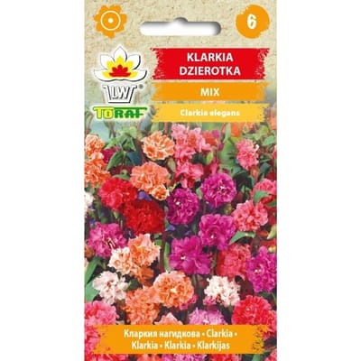 Zaden van clarkii Day mix, eenjarige sierplant 40-60 cm, bloeit VII-IX, roze-witte bloemen voor bloembedden en snijbloemen