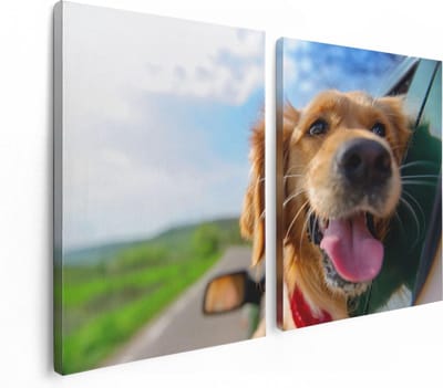 Artaza Canvas Schilderij Tweeluik Golden Retriever Hond Uit Een Auto Raam - 120x80 - Foto Op Canvas - Canvas Print
