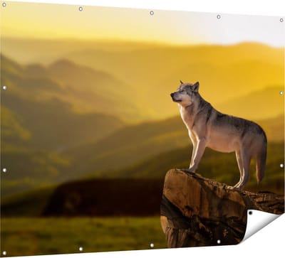 Gards Tuinposter Wolf op een Rots met een Heuvel Landschap - 160x120 cm - Tuindoek - Tuindecoratie - Wanddecoratie buiten - Tuinschilderij