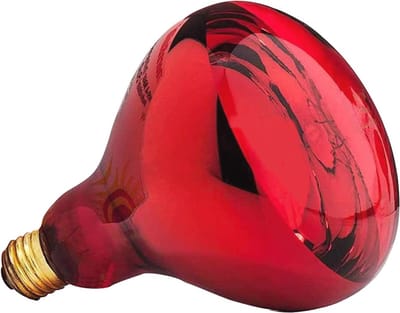 Infraroodlamp voor Thermotherapie en Pijnverlichting - E27
