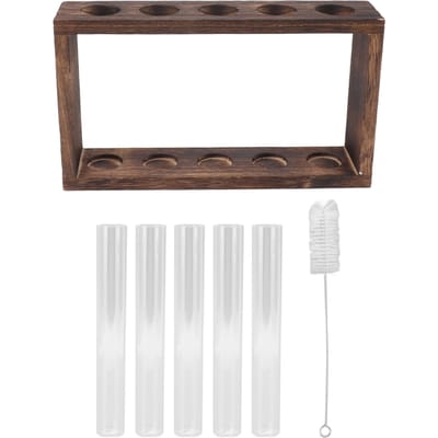 Terrarium Plante en Tube à Essai Transparent Observer l'État de Croissance Support Plante Aquatique avec Support en Bois white