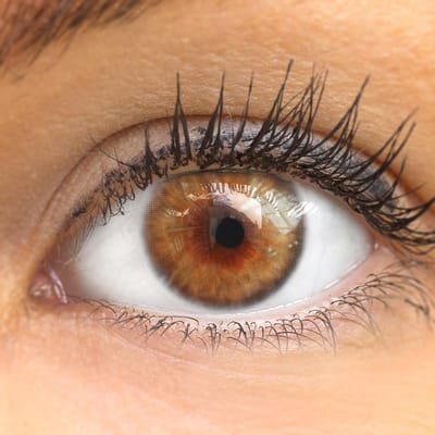 Dailygoods- Gekleurde Contactlenzen Natuurlijke Dekking - Avila Hazel - Silicone Hydrogel - 1 Paar (2 Stuks) - 0.00 Dioptrieën - Geschikt voor Donkere/Lichte Ogen