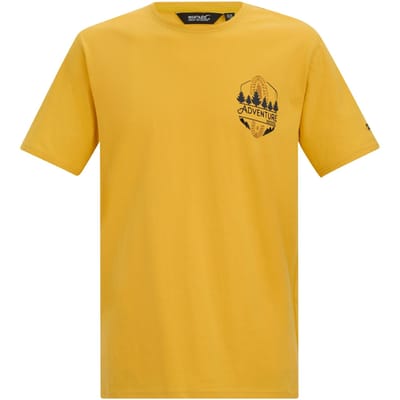Regatta Heren Cline IX Avontuur T-Shirt (Ceylon Geel)