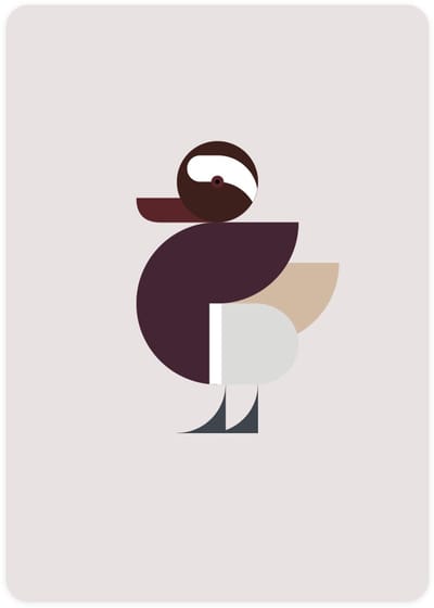 Eendje - 4x leuke wenskaarten - kaarten om te versturen - kaartenset - kaart met Zomertaling - vier kaarten met watervogels