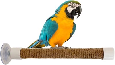 Vogelbaars Zuignap - Vogel Speelgoed - Vogel Training - Veelzijdige Zuignap Mount - Maat L - Zoals afgebeeld