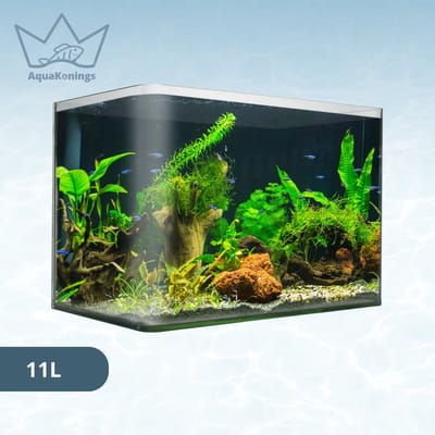 AquaKonings – Aquarium – Aquarium met afgeronde hoeken - Open Aquarium - Aquariumkit 30x18x21 11L