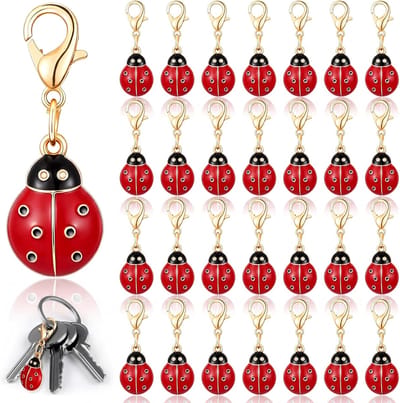 Gelukspoppetjes - Sleutelhanger - Lieveheersbeestje - Geluksbrenger - Uniek Cadeau - Voor Feestelijke Gelegenheden