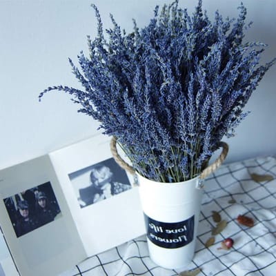 Natuurlijke Lavendelbundels, Vers Geoogst, 100 Stuks Gedroogde Lavendel, Decoratief Boeket voor Thuisdecoratie, Ambachten, Cadeaus en Bruiloften