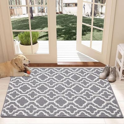 Deurmat Binnen, 80 x 120cm Schoonloopmat Deurmat Antislip Entree Deurmat Wasbaar Slijtvast Vuilvangmat binnen en buiten, voor huisdeur, ingang, woonkamer