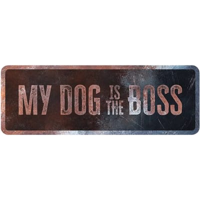 D&d Home - Waakbord - Hond - Waarschuwingsbord General 1 Nederlands 40x13x0,3cm Meerkleurig - 1st