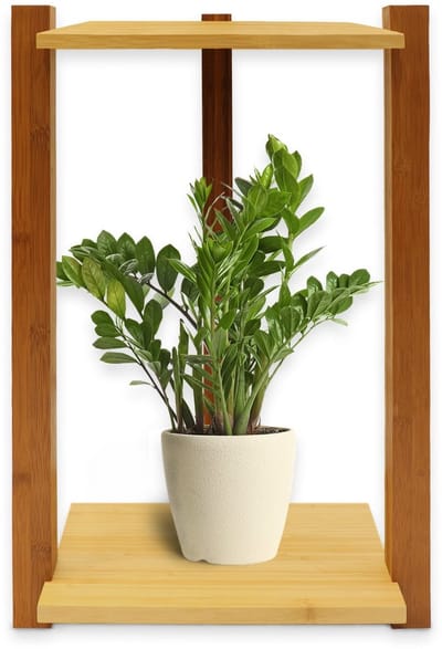 FLOORDIREKT Bamboe Plank Medina - Houten Plank Bloemenstandaard - Plantenplank - Bloempothouder Balkon - Plantenladder - Voor Binnen en Buiten