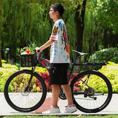 Opvouwbare fietsmand - Fietsaccessoire - Boodschappen vervoeren - Eenvoudige montage - 31.5 x 22.5 x 20.5 cm - Grijs