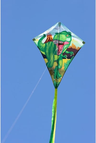 Ecoline Eddy Vlieger 70 cm - Complete Set voor Beginners