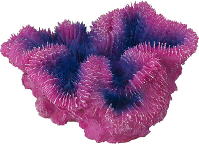 Aqua Della - Aquariumdecoratie - Vissen - Coraal Symphylia 12x5x12cm Paars - 1st