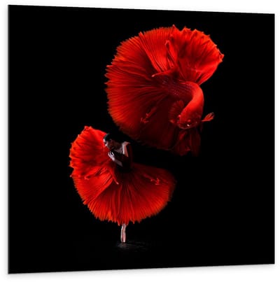 Dibond - Danseres met Rode Vis - 100x100cm Foto op Aluminium (Wanddecoratie van metaal)