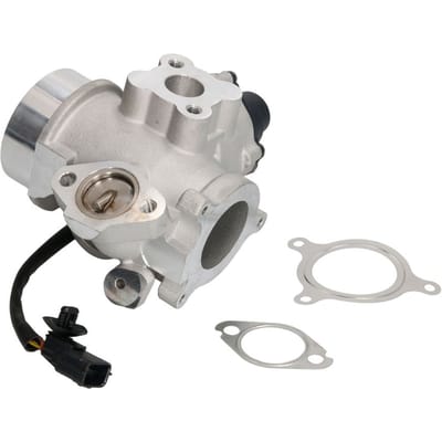 EGR-klep DELPHI EG10461-12B1