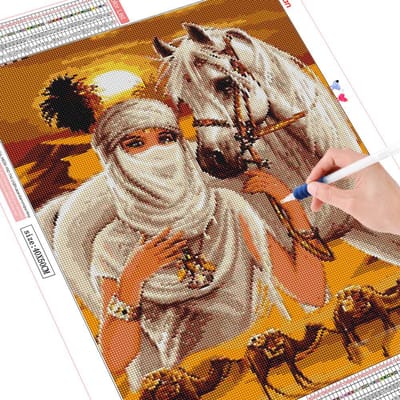 Peinture diamant cheval 5D, décoration de maison, broderie artistique complète en diamant rond 20X30CM black