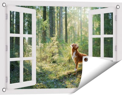 Gards Tuinposter Doorkijk Retriever Hond in het Bos met Zon - 60x40 cm - Tuindoek - Tuindecoratie - Wanddecoratie buiten - Tuinschilderij