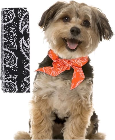 *** Honden bandana -Stijlvolle hond - Tegen kou en hete zon in de nek - Zwart van Heble® ***