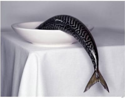 Mackerel- Kristal Helder Galerie kwaliteit Plexiglas 5mm. - Blind Aluminium Ophangframe - Fotokunst - Luxe Wanddecoratie - inclusief verzending
