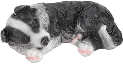 Dailygoods- Standbeeld Schattige Border Collie Puppy - Tuinbeelden voor Buiten - Waterdicht - Decoratie - Weerbestendig - Fijn Vakmanschap - Tuindecoratie