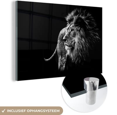 MuchoWow® Glasschilderij 60x40 cm - Schilderij acrylglas - Wilde dieren - Zwart - Wit - Portret - Foto op glas - Schilderijen