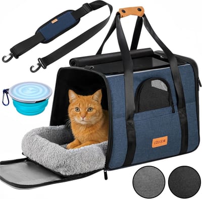 Draagbare Huisdierbox - Reistas Dier - Veilig Vervoer - Omkeerbaar Kussen - 44 x 34 x 31 cm - Blauw
