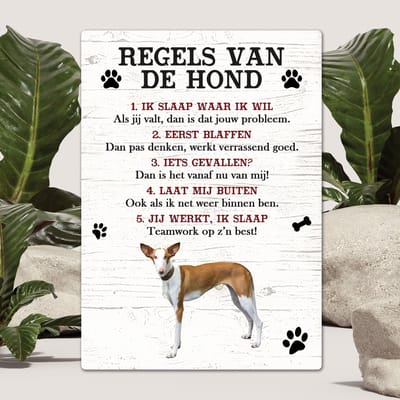 Spreuken - podenco - Regels Van De Hond - Spreuken Bordjes - Spreukenbord - Tekstborden - Cadeau - Hondenras