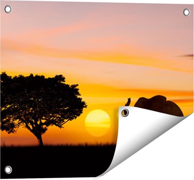 Gards Tuinposter Olifant Silhouet tijdens Zonsondergang - 50x40 cm - Tuindoek - Tuindecoratie - Wanddecoratie buiten - Tuinschilderij