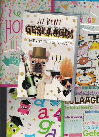 wenskaarten geslaagd - luxe wenskaart geslaagd - set van 5 - diploma - examen - rijbewijs - schooldiploma - vrolijk - met foam opdruk