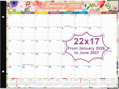 Grote Bureaukalender 2024-2025 (Juni 2025) – 22 x 17 inch – Voor Thuis, School of Kantoor