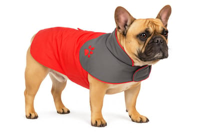 Hondenjas – Regenjas hond – Water- en winddichte hondenregenjas met fleece – Flamingo Regenjas Juno Rood – 50 cm