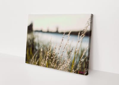 Canvasdoek - Schilderij - Molenkade Kinderdijk Plant Natuur Stichting By Amanda - Wit, Groen En Blauw - 100 X 150 Cm