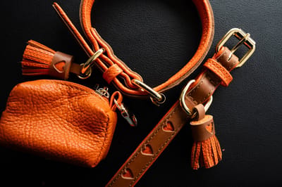 Cavlicious® honden halsband leer - handgemaakt - topkwaliteit - met hartjes en tassel - oranje - S