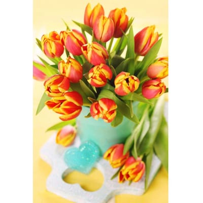Borduurpakket DIY diamant borduurwerk mooie tulpen volledige ronde Diamond schilderij mozaïek Home Decor 20X30CM red