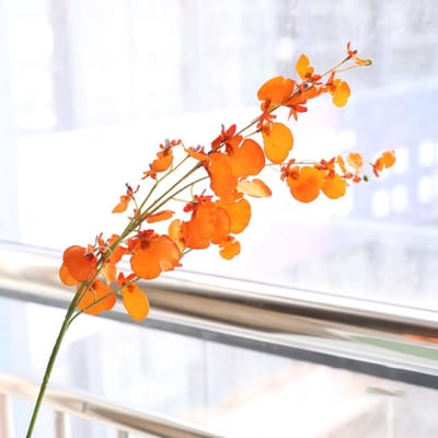Dansende orchidee - oranje - zijden bloemen - 3 stelen - onderhoudsvrij - 92 cm - kunstbloemen