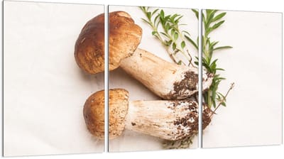 TMK ArtDeko - Beschermplaat van Geh. Glas - 3x30x52 cm - Veelzijdig - Antibacterieel
