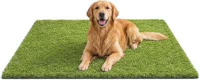 Kunstgras Trainingsmat Hond - Nepgras Zindelijkheid - Hond Zindelijk Maken - Met Afvoer Gaten - 47x31 Inch - Groen
