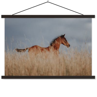 Posterhanger incl. Poster 150x100 cm - Schoolplaat - Paard - Lucht - Gras - Textielposter - Zwarte latten