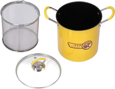 Mini Frituurpan - Keuken Frituur - Thuis Frituren - Met Oliefilter - 3L Inhoud - Zilver