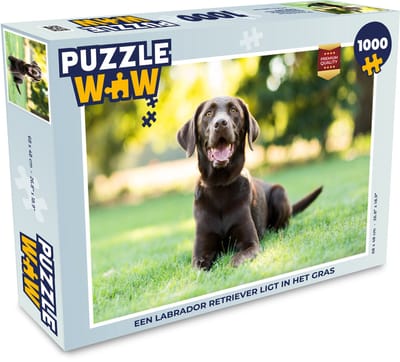 Puzzel Een Labrador Retriever ligt in het gras - Legpuzzel - Puzzel 1000 stukjes volwassenen