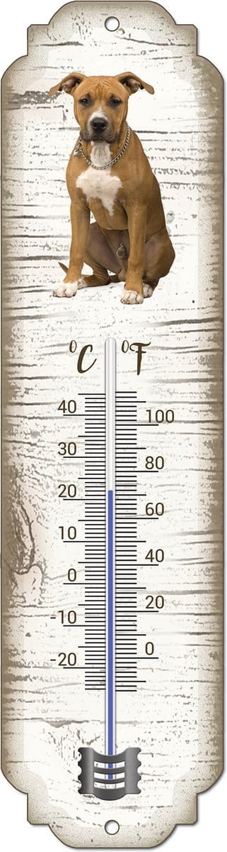 Thermometer: American Staffordshire Terrier | Hondenras | Temperatuur binnen en buiten | -25 tot +45C