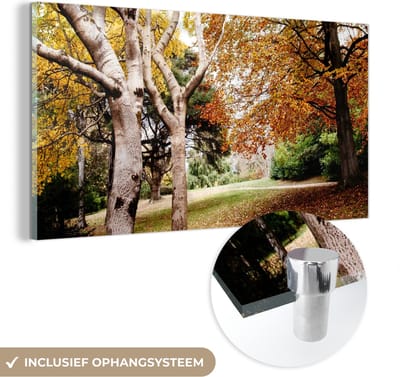 MuchoWow® Glasschilderij 40x20 cm - Schilderij acrylglas - Herfst - Bomen - Bladeren - natuur - Foto op glas - Schilderijen